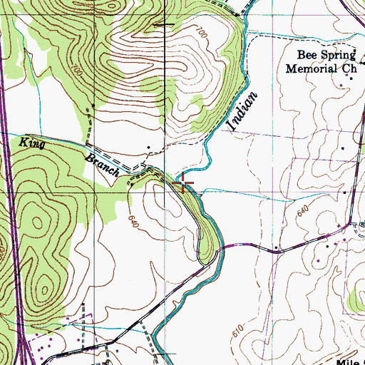 Topographic Map of King Branch, TN