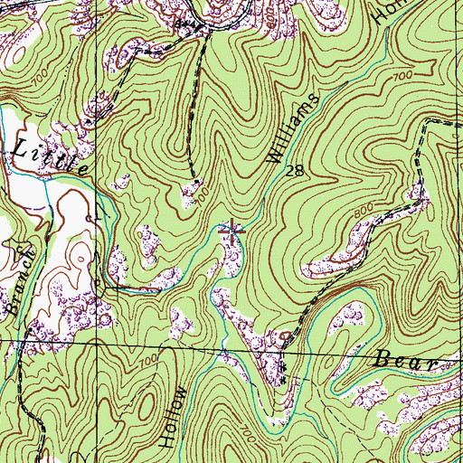 Topographic Map of Williams Hollow, AL