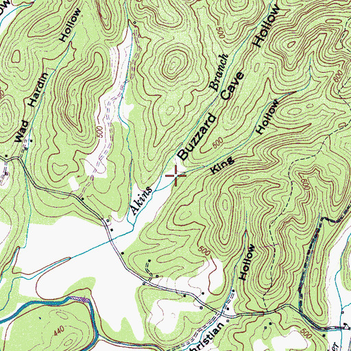 Topographic Map of King Hollow, TN