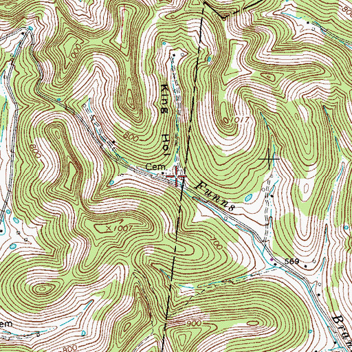 Topographic Map of King Hollow, TN