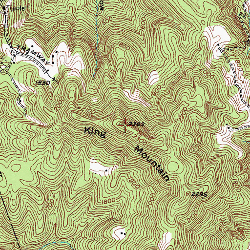 Topographic Map of King Mountain, TN