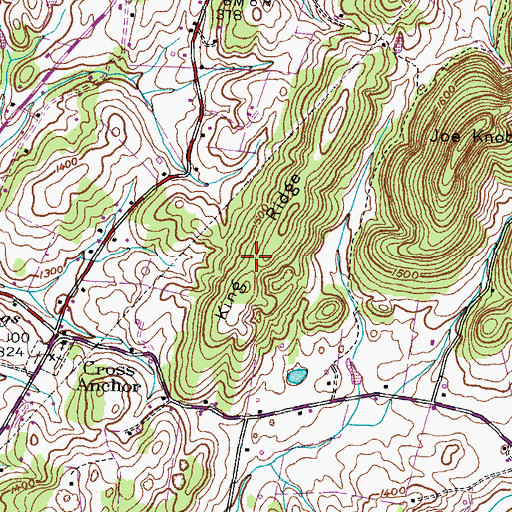Topographic Map of King Ridge, TN