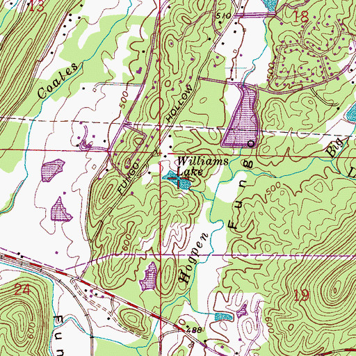 Topographic Map of Williams Lake, AL