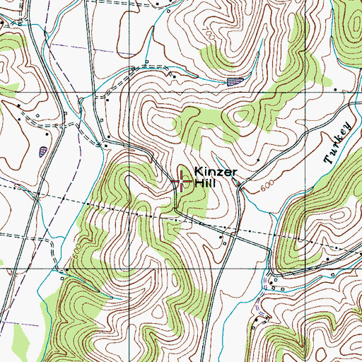 Topographic Map of Kinzer Hill, TN