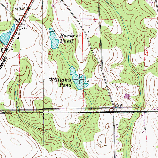 Topographic Map of Williams Pond, AL
