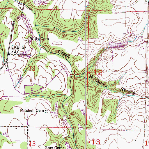 Topographic Map of Williams Spring Branch, AL