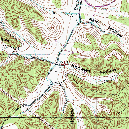 Topographic Map of Knowles Hollow, TN