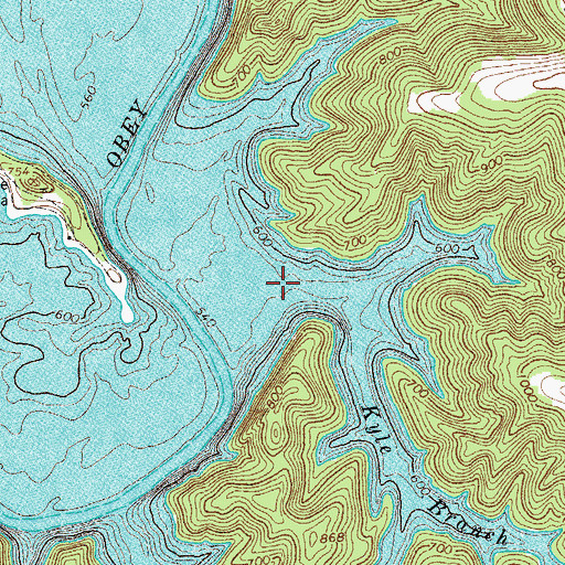 Topographic Map of Kyle Branch, TN