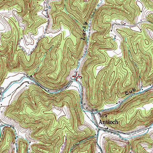 Topographic Map of Lacey Branch, TN