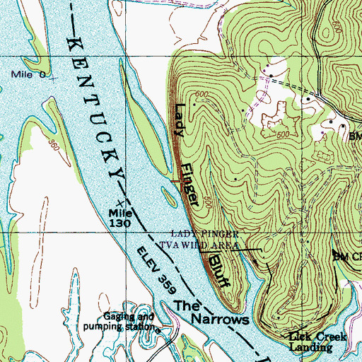 Topographic Map of Lady Finger Bluff, TN