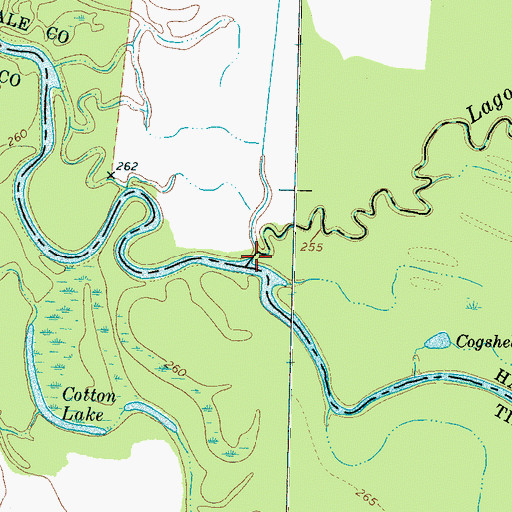 Topographic Map of Lagoon Creek, TN