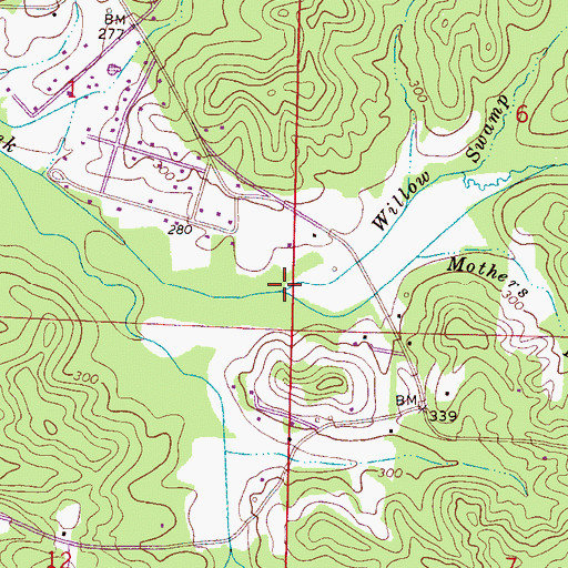 Topographic Map of Willow Swamp Creek, AL