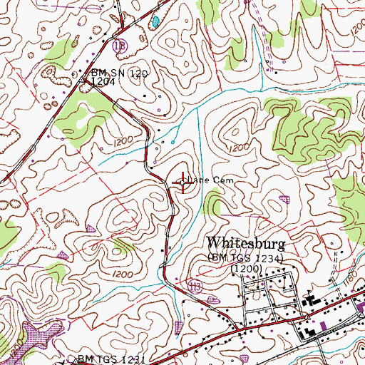 Topographic Map of Lane Cemetery, TN