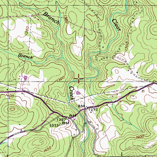 Topographic Map of Langley Branch, TN