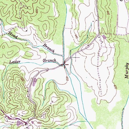Topographic Map of Laster Branch, TN