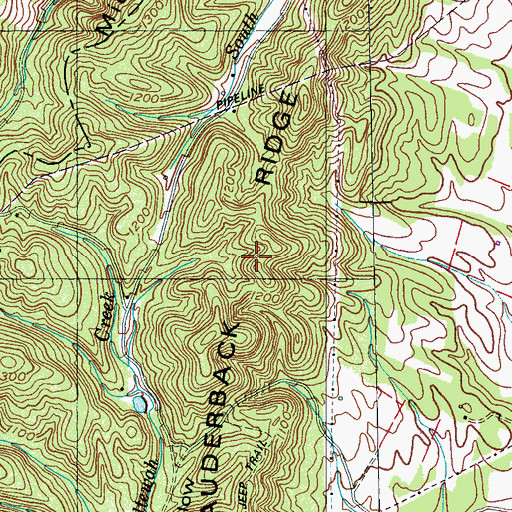 Topographic Map of Lauderback Ridge, TN