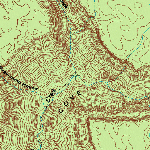 Topographic Map of Laurel Branch, TN