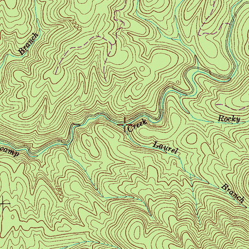 Topographic Map of Laurel Branch, TN