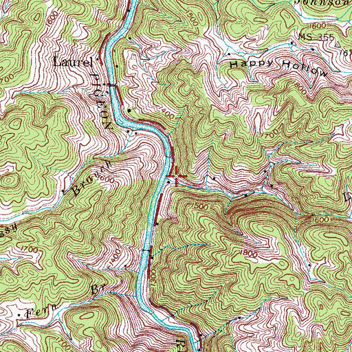 Topographic Map of Laurel Branch, TN