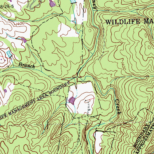 Topographic Map of Laurel Branch, TN