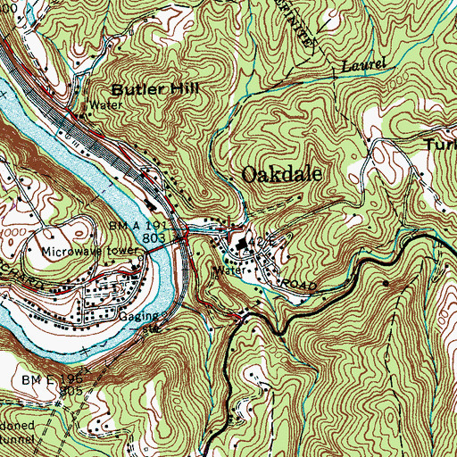 Topographic Map of Laurel Branch, TN