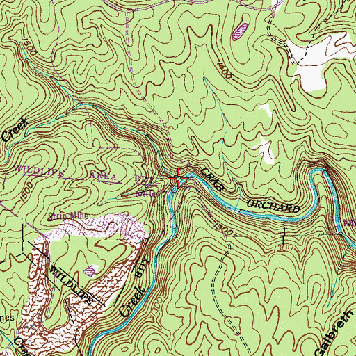 Topographic Map of Laurel Creek, TN