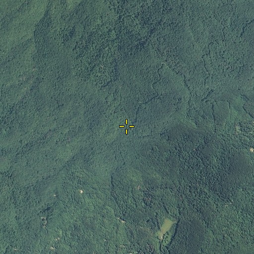 Aerial/Satellite Image of Laurel Gap, TN