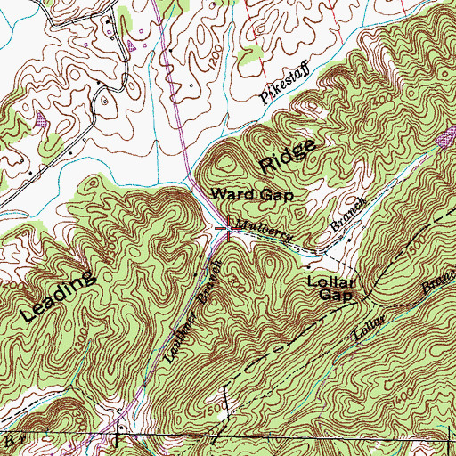 Topographic Map of Lauthner Branch, TN