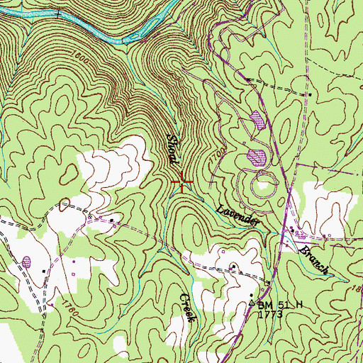 Topographic Map of Lavender Branch, TN