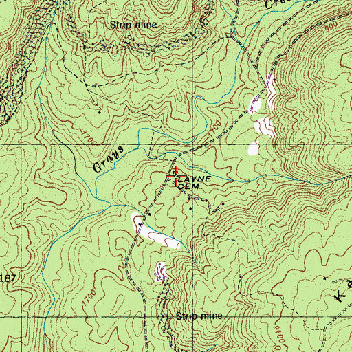 Topographic Map of Layne Cemetery, TN