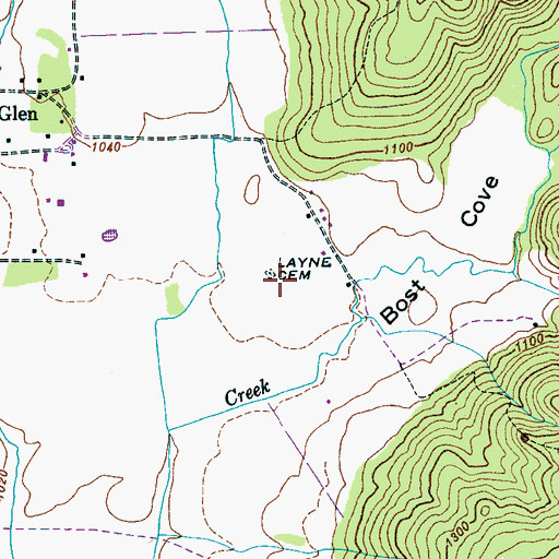 Topographic Map of Layne Cemetery, TN