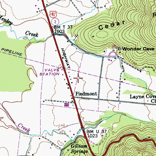 Topographic Map of Layne Cove, TN