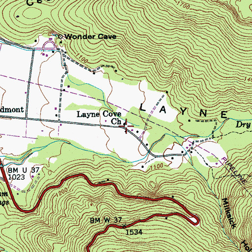 Topographic Map of Layne Cove Church, TN