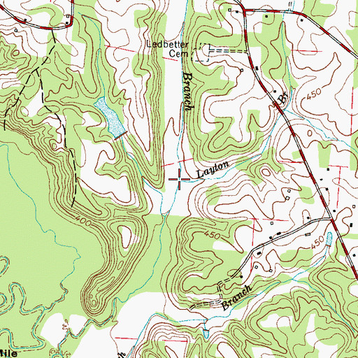 Topographic Map of Layton Branch, TN