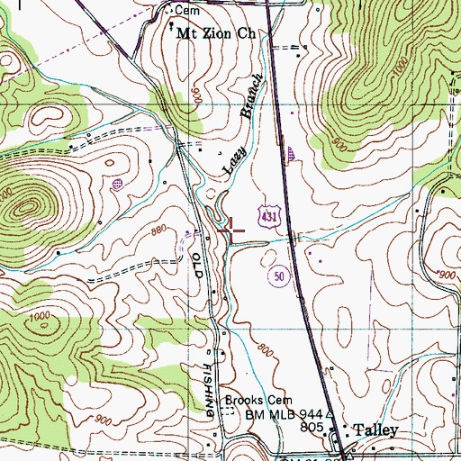 Topographic Map of Lazy Branch, TN