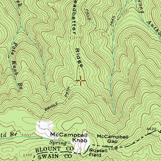 Topographic Map of Leadbetter Ridge, TN