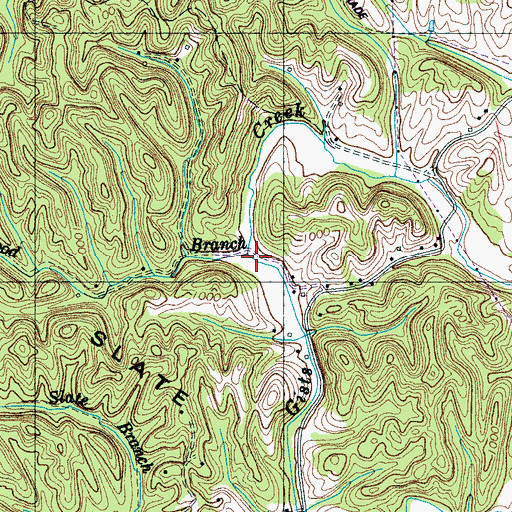 Topographic Map of Leatherwood Branch, TN