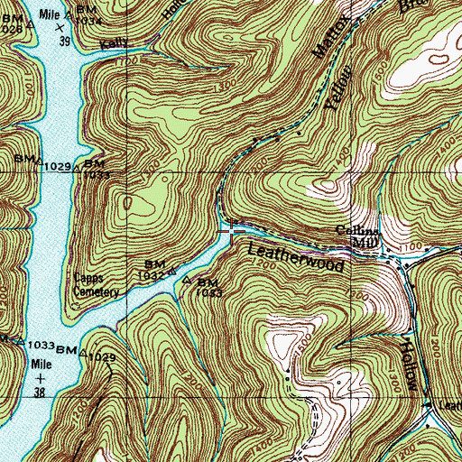 Topographic Map of Leatherwood Hollow, TN