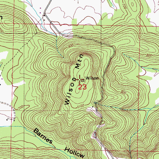 Topographic Map of Wilson Mountain, AL