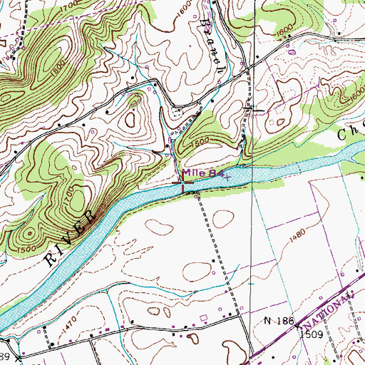 Topographic Map of Lebanon Branch, TN