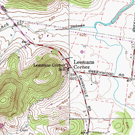 Topographic Map of Leemans Corner School, TN
