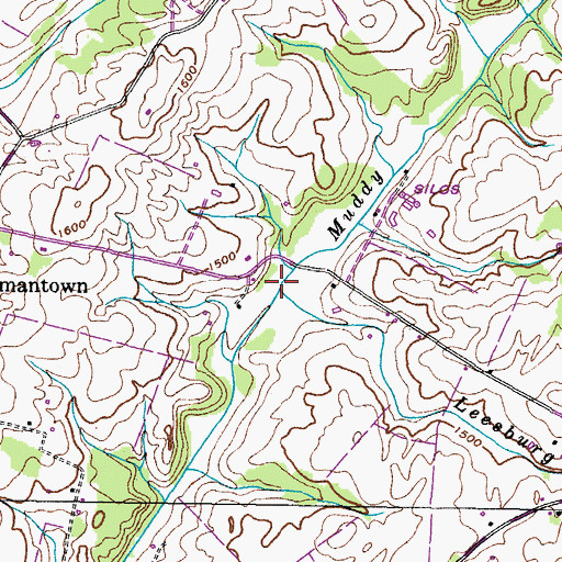 Topographic Map of Leesburg Branch, TN