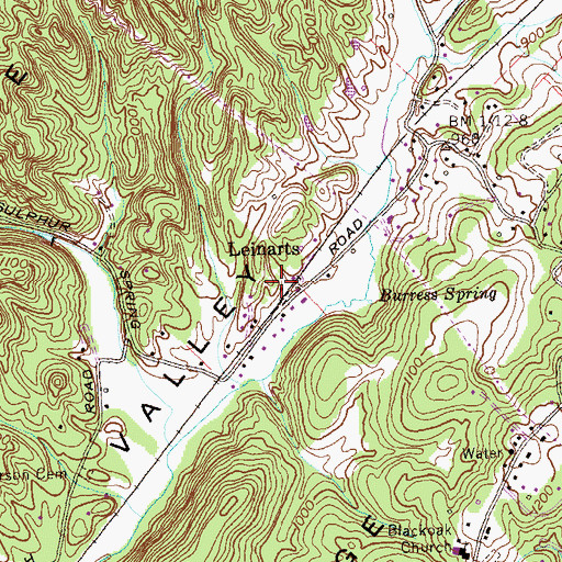 Topographic Map of Leinarts, TN