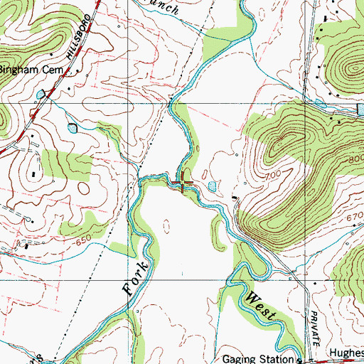 Topographic Map of Leipers Fork, TN