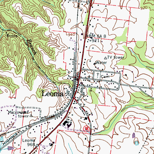 Topographic Map of Leoma, TN