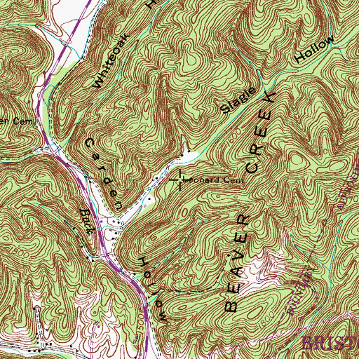 Topographic Map of Leonard Cemetery, TN