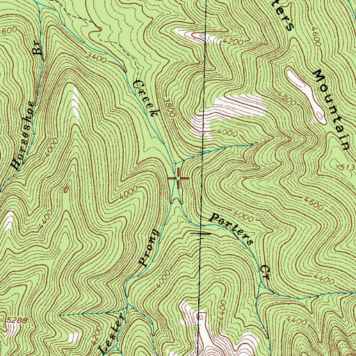 Topographic Map of Lester Prong, TN