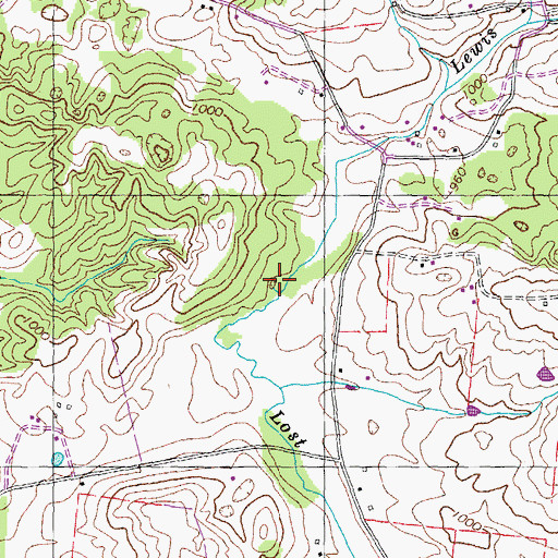 Topographic Map of Lewis Branch, TN