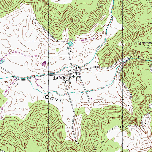 Topographic Map of Liberty Church, TN