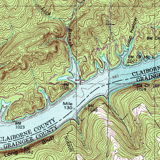 Topographic Map of Lick Branch, TN